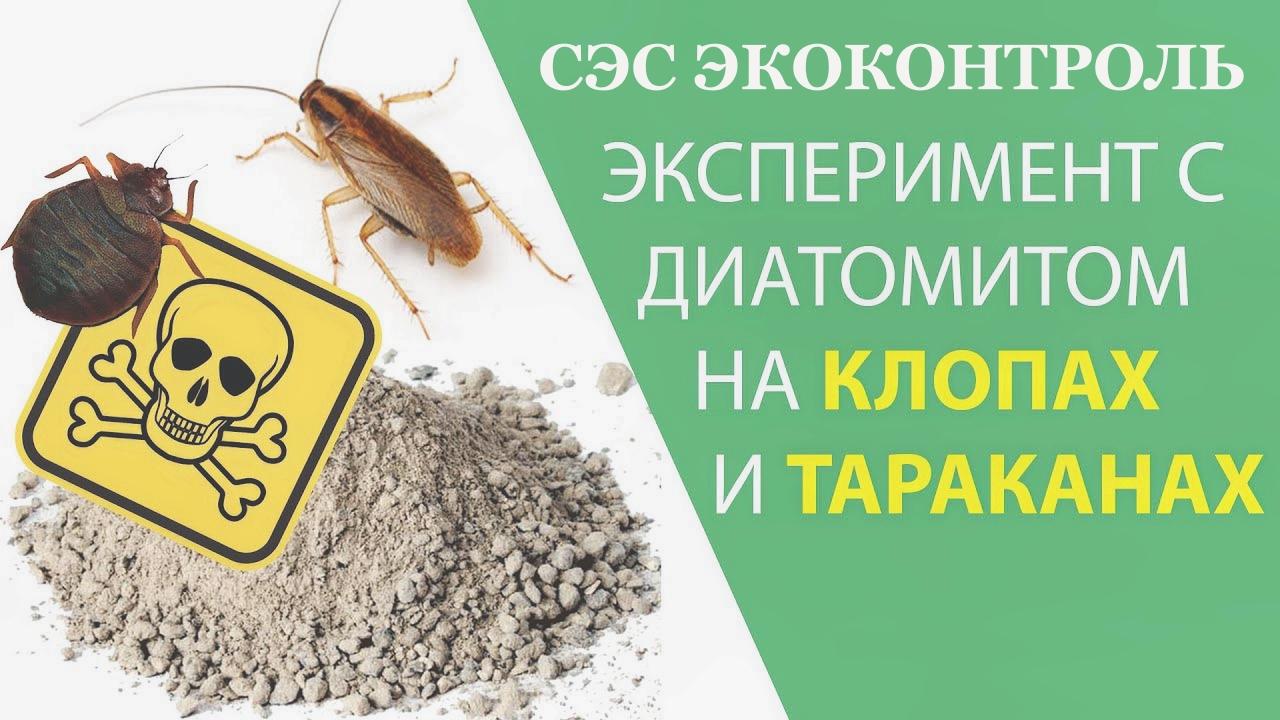 от клопов избавиться от клопов избавиться