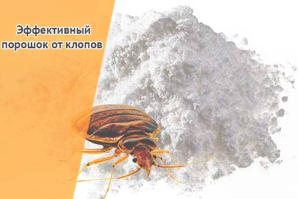 диамант от клопов диамант от клопов